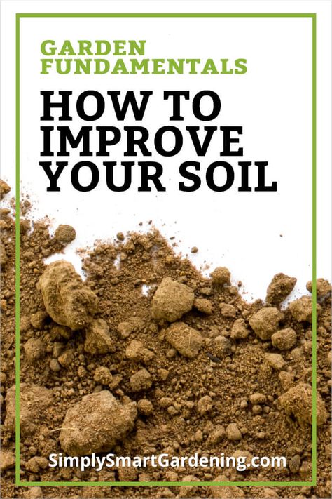 Want to improve your garden soil like an expert even though you're a beginner? Follow my 5 steps this fall. Learn the right way to take soil samples. Learn how to amend your soil, and find out how often you need to test your soil.   Click to download a soil amendment tracking chart! Garden Problems, Plans Architecture, Organic Vegetable Garden, Soil Testing, Gardening 101, Sandy Soil, Home Vegetable Garden, Organic Gardening Tips, Soil Improvement