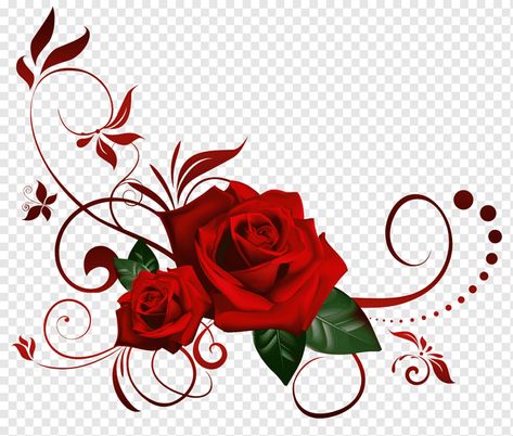 Rose Png Hd, Rose Graphic Design, Rose Banner, Red Rose Png, Red Roses Background, Rose Gold Banner, Rose Flower Png, Red Rose Arrangements, Drawing Rose