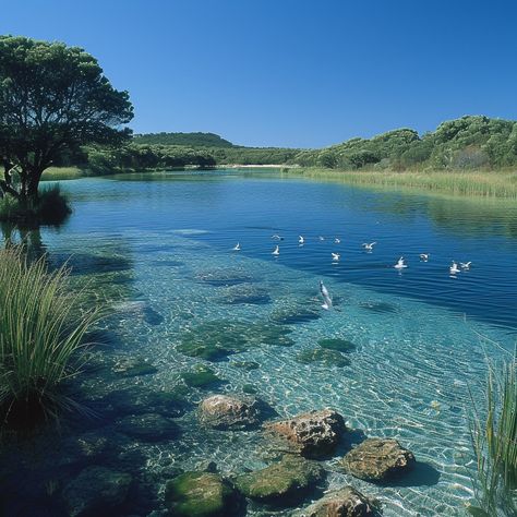 Serene Lake Vista: A peaceful lake surrounded by lush greenery reflects the clear blue sky with birds gliding gracefully. #lake #peaceful #nature #birds #clear #aiart #aiphoto #stockcake ⬇️ Download and 📝 Prompt 👉 https://stockcake.com/i/serene-lake-vista_261450_51531 Blue Sky With Birds, Sky With Birds, Peaceful Nature, Clear Blue Sky, Nature Birds, Blue Lake, Lush Greenery, Creative Words, Free Photos