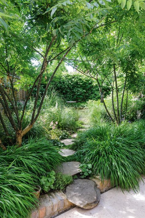 Alchemilla Mollis, Home Garden Ideas, Japanese Pagoda, Smooth Concrete, Perennial Grasses, London Garden, Chelsea Flower Show, Back Gardens, Different Plants