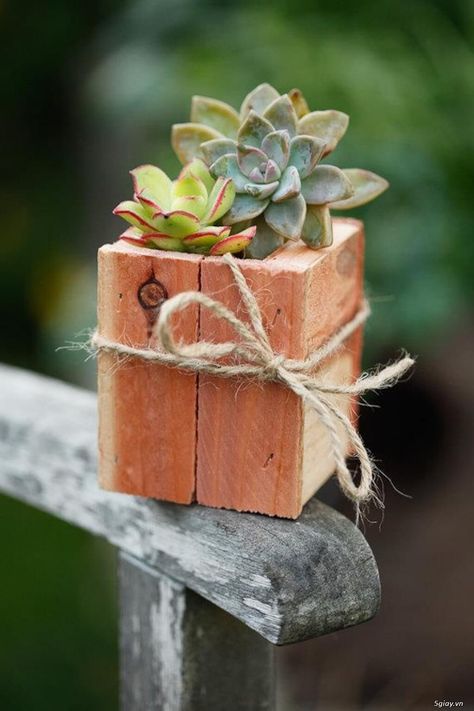 Simple Rustic Box with Real Cacti Rustic Wooden Box Centerpiece, Succulent Pots Diy, Diy Succulents Centerpiece, Wooden Succulent Planter, Diy Wood Planters, Wooden Box Centerpiece, Wood Succulent Planter, Planter Centerpiece, Succulent Display