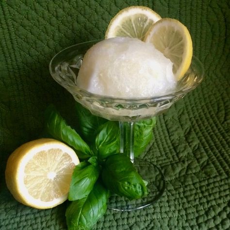 Basil Sorbet, Mint Sorbet, Poke Cake Lemon, Lemon Curd Tart, Lemon Meringue Cheesecake, Lemon Tart Recipe, Blueberry Topping, Buttery Shortbread Cookies, Dream Food