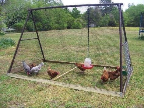 Reban Ayam, Portable Chicken Coop, Chicken Pen, Backyard Chicken Coop Plans, Tractor Idea, Chicken Tractor, Coop Design, Coops Diy, Best Chicken Coop