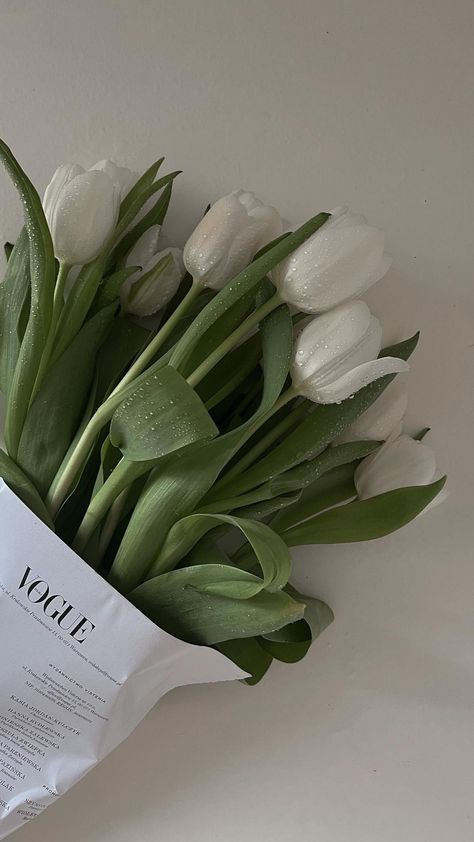 Clean White Wallpaper, Vintage Vision Board, Clean Phone Wallpaper, Opened Tulips, Simple Flower Aesthetic, White Tulips Wallpaper, Clean Girl Wallpaper, Green Tulips, Tulip Wallpaper