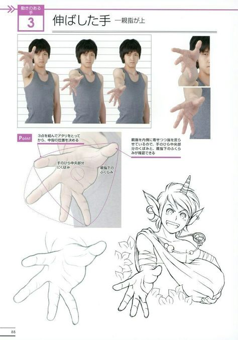 Arm and hand foreshortening Manga Ideas, Manga Tutorial, Drawing Hands, Hand Gestures, Draw Manga, Hand Drawing Reference, Hand Reference, Foto Poses, Anatomy Drawing