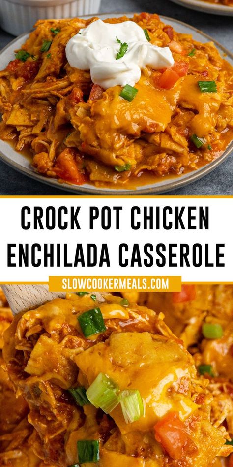 Crock pot chicken enchilada casserole on a plate with sour cream Chx Crockpot Recipes, Fall Crockpot Meals Easy Recipes, Easy Meals For Dinner Few Ingredients, Healthy Chicken Enchiladas Crock Pot, The Best Chicken Crockpot Recipes, Easy Yummy Crockpot Dinners, Easy Busy Mom Dinners, Easy Crockpot Chicken Recipes Mexican, Chicken Enchiladas Slow Cooker Recipes