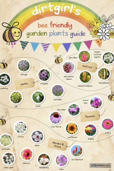 Fun family activities and idea's to design a bee friendly garden, a bee yard, a bug hotel and bee pool. Backyards across Australia are bee keeping naturally! Free plants guide download. Plant Chart, Bee Poster, Plants Guide, Interactive Space, World Bee Day, Vege Garden, Bee Safe, Bee Friendly Plants, Space For Kids