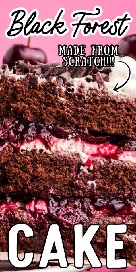 Cherry Filling Recipes, Cherry Cake Filling, Black Forest Cherry Cake, Black Forest Cake Easy, German Dessert, Chocolate Raspberry Mousse Cake, Cherry Cake Recipe, Black Forest Cake Recipe, Chocolate Cherry Cake