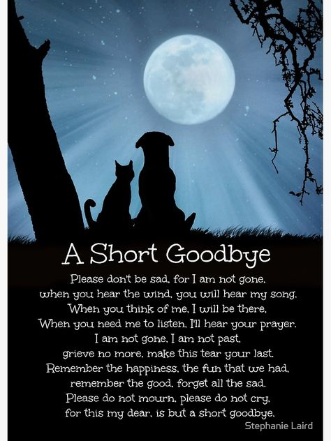 "Dog Cat Memorial Sympathy Tribute Spiritual Poem" Greeting Card for Sale by Stephanie Laird | Redbubble Cat Sympathy Card, Losing A Pet Quotes, Dog Heaven Quotes, Spiritual Poems, Pet Poems, Miss My Dog, Cat Sympathy, Dog Poems, Pet Sympathy Cards