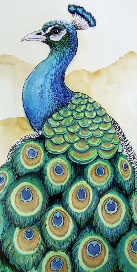 Diy Peacock, Picture Craft, Watercolor Peacock, Peacock Drawing, Peacock Wall Art, Afrique Art, Lotus Art, Seni Dan Kraf, Peacock Painting