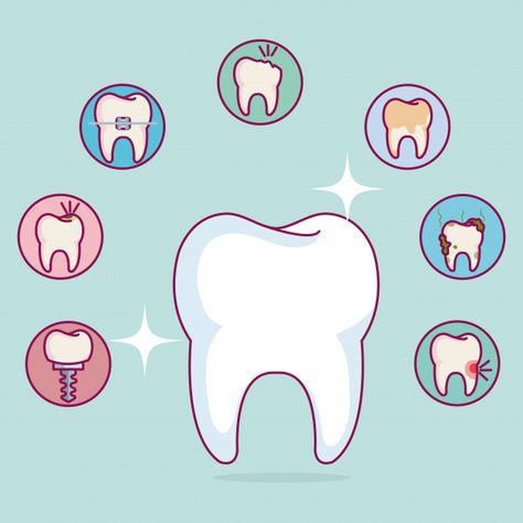 Dental care set icons Free Vector | Free Vector #Freepik #freevector #line #medical #nature #health Dental Pictures, Dental Doctor, Dental Business, Dental Posts, Kedokteran Gigi, Kesehatan Gigi, Dental Anatomy, Dentist Doctor, Dental Facts