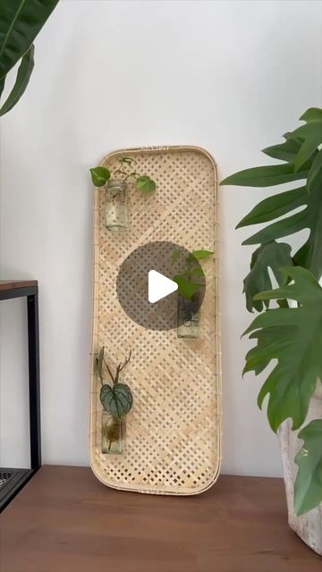 Ideal Home on Instagram: "Looking to make a feature and keep your propagated plants on display? @menawox has the perfect cheap & easy @ikea hack to try 

#idealhome #ikeahack #planthack #plantingtips" Ikea Plant Hacks, Propagated Plants, Ikea Plant, Ikea Plants, Easy Ikea Hack, Plant Hacks, Ikea Diy, Ikea Hack, Artificial Plants