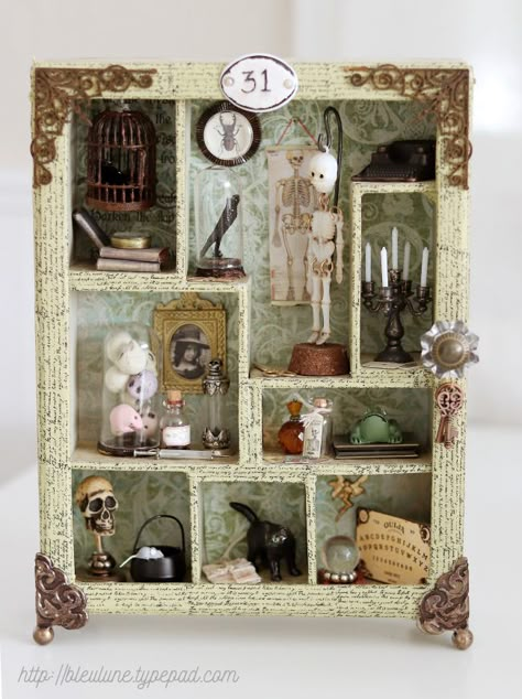 Cabinet Of Curiosities Clay, Small Cabinet Of Curiosities, Diy Curiosity Cabinet, Box Of Curiosities, Cabinet Of Curiosities Miniature, Diy Cabinet Of Curiosities, Cabnit Of Curiosities, Mini Cabinet Of Curiosities, Curiosity Cabinet Diy