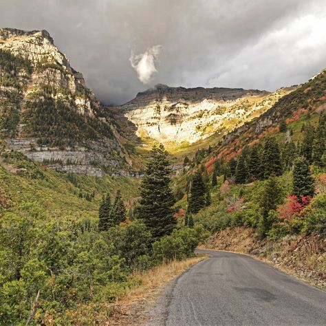 Alpine Loop, Northern Utah, Scenic Roads, Scenic Drive, In The Fall, Aspen, The Fall, Places To See, Utah