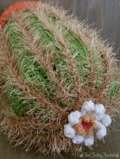 Cactus Pillow - Sew Crafty Crochet Crochet Succulent Pillow, Succulent Pillow, Cactus Patch, Crochet Succulent, Pinterest Challenge, Cactus Pillow, Crochet Cactus, Gift Crochet, Desert Flowers