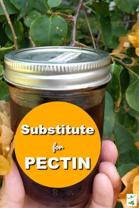 Pectin Recipes, Canning Jam Recipes, Homemade Jams, Jams And Jellies, Home Canning Recipes, Canning Jam, Canning Food Preservation, Canned Food Storage, Homemade Jelly