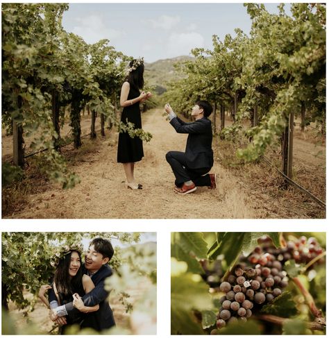 Napa Winery Vineyard Proposal | Proposal Ideas | Napa Sonoma Bay Area Wedding Photographer Vineyard Proposal Ideas, Winery Proposal Ideas, Vineyard Proposal, Winery Proposal, California Proposal, Vineyard Engagement Photos, Proposal Locations, Proposal Shoot, Napa Winery