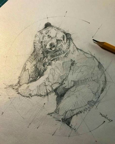 Lion Skull, Color Pencil Sketch, Bear Tattoos, Easy Animals, Bear Tattoo, Sketch Artist, Animal Drawing, Frog Art, Art Station