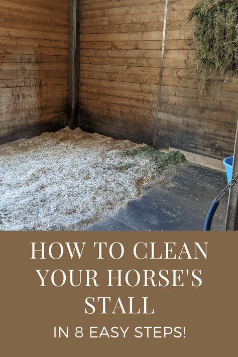 Horse Wash Stall, Easy Horse Stalls, Barn Organization, Horse Stalls Doors, Stall Cleaning, Stable Management, Horse Ownership, Horseback Riding Tips, Barn Stalls