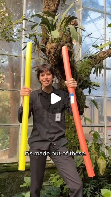 The Huntington on Instagram: "Can you tell this tree is fake? 🥸 While we have many living trees in the Conservatory, building an artificial tree allows us to create a disease-resistant space to display epiphytic plants like ant plants. Learn more about how we put together one of these trees with Bryce!" Fake Branches Diy, Diy Faux Indoor Tree, How To Build A Fake Tree, How To Make Fake Tree Branches, Foam Tree Diy, Artificial Climbing Plants, Fake Wisteria Tree, Indoor Tree Ideas, Artificial Trees Indoor Decor Diy