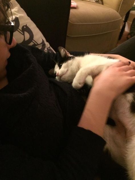 You’ll find yourself thinking, I wish someone would look at me the way my cat does. | 18 Kitties Who Are Totally In Love With Their Humans Cat Core, Me And My Cat, Drawing Basics, Animal Magazines, Love Your Pet Day, Cat Cuddle, Kinds Of Cats, Cat Signs, Pet Hacks