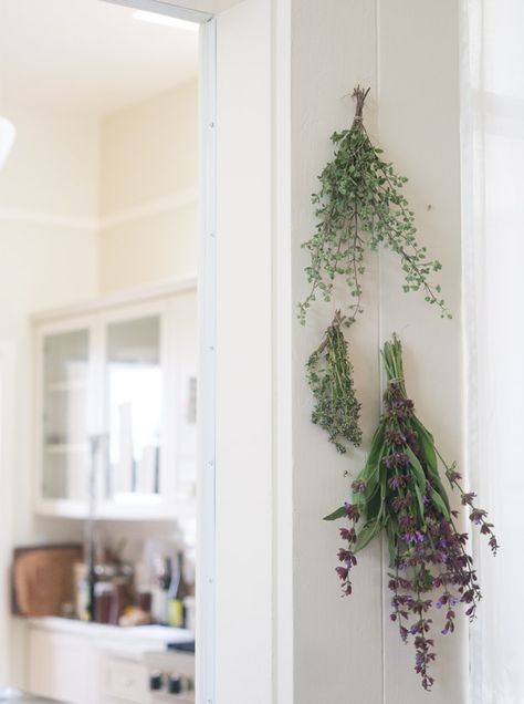 @sofibat | Instagram: sofibatt | Snapchat: sasofiab Pineapple Sage, Dried Herbs, Dried Lavender, Décor Diy, Kitchen Area, Drying Herbs, Herb Garden, Macrame Plant Hanger, Home Decor Inspiration