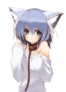 Illustration Manga, Gato Anime, Cat Anime, Art Manga, Wolf Girl, Anime Wolf, Anime Animals, Anime People, Anime Cat