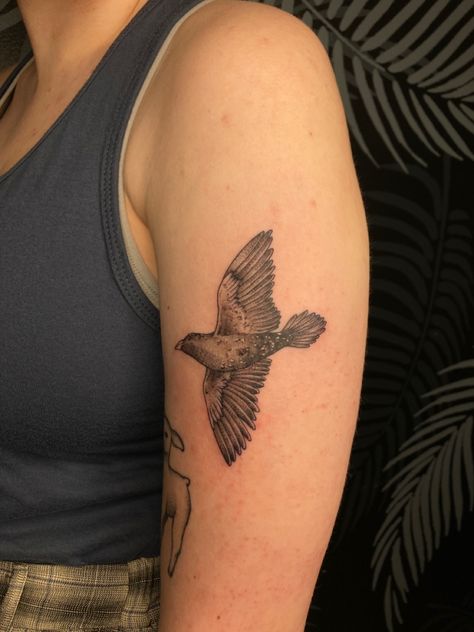 Starling Tattoo, Osprey Tattoo, Disposable Income, Tattoo Board, Ink Ideas, Little Tattoos, Starling, Tattoo Inspo, Tattoos For Women