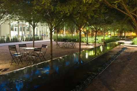 Brochstein Pavilion / The Office of James Burnett + Thomas Phifer & Partners Brochstein Pavilion, Thomas Phifer, Tree Grove, Architectural Lighting Design, Garden Kitchen, Light Architecture, Water Feature, Site Plan, Urban Landscape