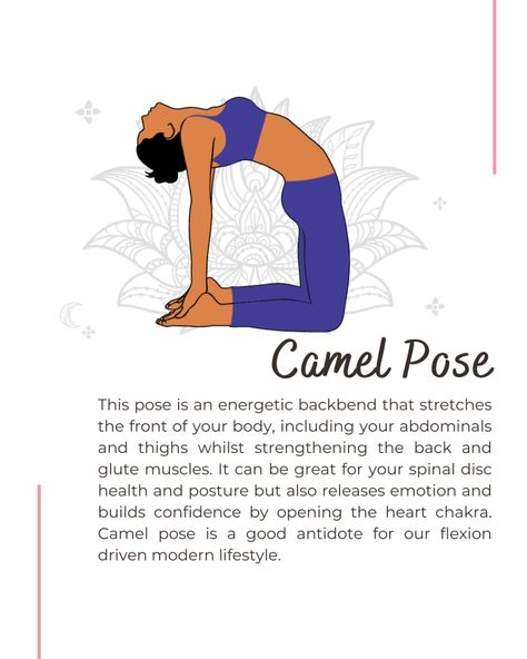 Camel Pose Yoga, Mckenzie Exercises, Body Pain Relief, Yoga Inspiration Quotes, Yoga Guide, Camel Pose, Yoga Moves, Self Confidence Tips, Yoga Health