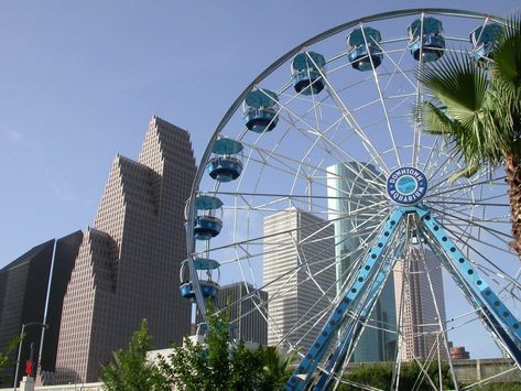 9 things you must do in downtown Houston on your next visit Houston Aquarium, Diving Bell, Downtown Houston, H Town, Outdoor Yoga, Animal Books, Bike Trails, Houston Texas, Aquariums