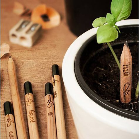 These Plantable Pencils Grow Fresh Herbs From Your Failed Lit Ambitions Sprout Pencils, Pencil Plant, General Gift Ideas, Art Homework, Electric Sharpener, Gadget Gifts, Fun Gifts, Unusual Design, Nice Things