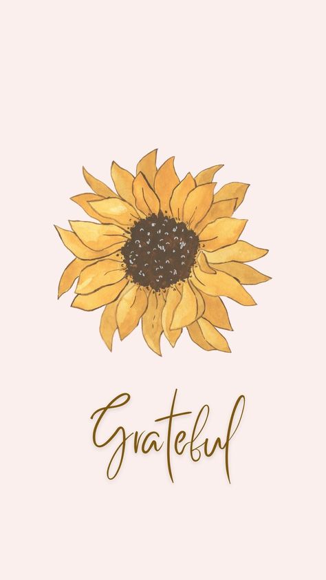 I Am Grateful Wallpaper, Grateful Aesthetic Wallpaper, Blessed Wallpaper Aesthetic, Grateful Wallpaper Aesthetic, Grateful Wallpaper, Be Grateful Quotes, Grateful Aesthetic, Gratitude Wallpaper, Grateful Thankful Blessed Quotes