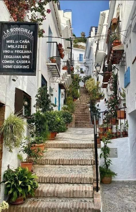 Andalucia Aesthetic, Spain Aesthetic, Spain Vacation, Malaga Spain, Hampton Inn, Frequent Traveler, 수채화 그림, Dream Travel Destinations, Find A Way