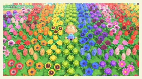 Flower Acnh, Animal Crossing Kidcore, Acnh Rainbow, Acnh Flowers, Rainbow Garden, Garden Flower Beds, Island Theme, Acnh Ideas, Rainbow Flower