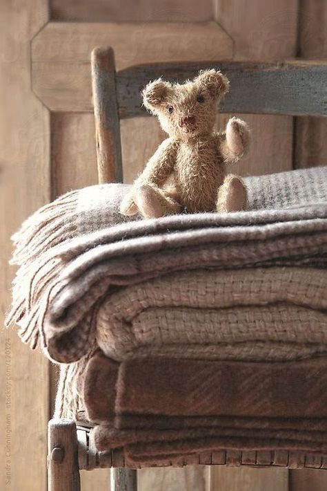 Teddy Ruxpin, Small Teddy Bears, A Teddy Bear, Vintage Teddy Bears, Cute Bear, Country Life, Wool Blanket, Warm And Cozy, Teak