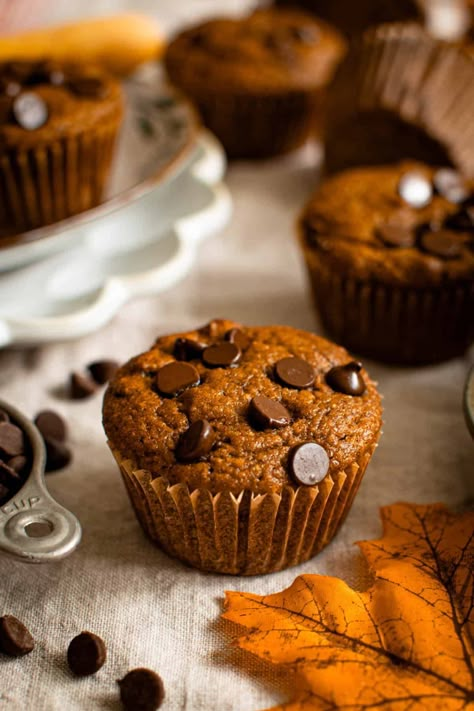 Vegan Pumpkin Chocolate Chip Muffins, Vegan Apple Muffins, Almond Flour Pumpkin Muffins, Almond Flour Pumpkin, Best Pumpkin Muffins, Vegan Pumpkin Muffins, Vegan Cupcake, Vegan Chocolate Chips, Almond Flour Muffins