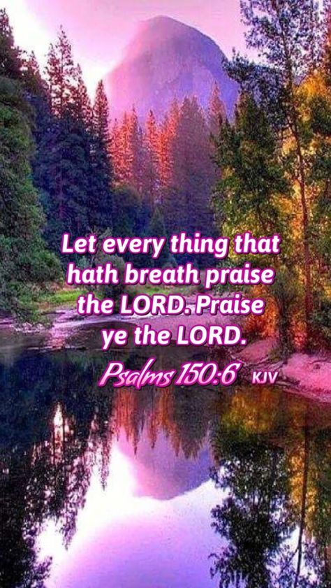 Praise Ye The Lord, Worship The Lord In The Beauty Of Holiness, Praise The Lord Quotes, Happy Sabbath Quotes, Happy Sabbath Images, Sabbath Quotes, Psalm 150, Inspirational Quotes Encouragement, King James Bible Verses