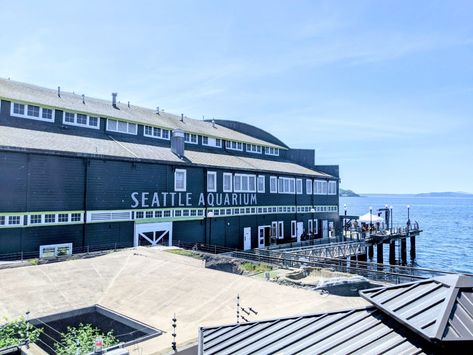 Pikes Market Seattle, Underwater Room, Seattle Waterfront View, Seattle Aquarium, Woodland Park Zoo, Seattle Record Store, Harbor Seal, Outdoor Walkway, S.e.a Aquarium Singapore