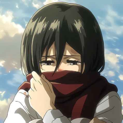 Mikasa Profile Pic, Mikasa Widget, Eren And Mikasa Matching Icons, Mikasa Ackerman Pfp, Ken Anime, Mikasa Anime, Attack On Titan Aesthetic, Aot Characters, Attack On Titan Season