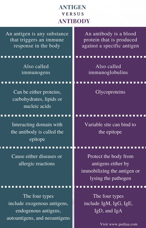 Difference Between Antigen and Antibody | Definition, Characteristics, Function Study Biology, Medical Student Study, Medical Laboratory Science, Biology Lessons, Medical Facts, Medical School Studying, Nursing School Notes, Science Notes, Human Anatomy And Physiology