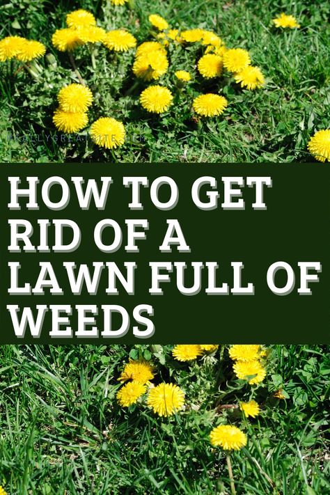 Remove Weeds From Lawn, Lawn Weeds How To Get Rid, Lawn Weeds Identification, How To Get Rid Of Weeds, How To Get Rid Of Weeds In Lawn, How To Kill Weeds Permanently, Weeds In Garden, Get Rid Of Dandelions, Kill Weeds Naturally