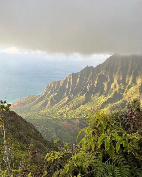 Scenery Aesthetic, Drømme Liv, Hawaii Life, Pretty Landscapes, Dream Places, In The Clouds, Dream Vacation, Hawaii Travel, Nature Aesthetic