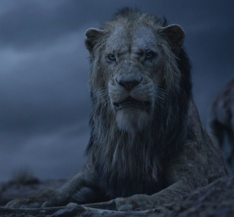 Mufasa The Lion King, The Lion King 1994, The Lion King 2019, The Lion King 2 Simba's Pride, The Lion King 1 1/2, Timon & Pumbaa 1995 The Lion Guard] Scar he lion was a male lion he was the king of pride rock who succeeded mufasa and preceded simba he was the younger brother of mufasa and the uncle of simba taka have home and false king of pride rock heir to the throne of pride rock and communication call anyone names he from foundation prime be bad guy to the superheroes dinosaurs series of dimensions Lion King 1 1/2, Scar Lion King, The Lion King 2019, Lion King 2019, King Of Pride, Lion King 1994, Lion King 1, The Lion King 1994, Lion King 2