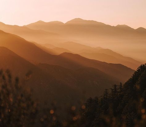 Golden Daze…✨💛 Always finding beauty in the little moments, simple mornings in Los Angeles watching the light change over these mountains… Moodboard Rose, Etsy Aesthetic, Mountain Aesthetic, Mountains Aesthetic, Cream Aesthetic, Brown Eyed Girls, Orange Aesthetic, Desert Sand, Bleachers