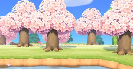 How to Get a Cherry Blossom Tree | ACNH - Animal Crossing: New Horizons (Switch)｜Game8 Acnh Cherry Blossom Ideas, Acnh Cherry Blossom Road Design Code, Cherry Blossom Island Acnh, Animal Crossing Sakura Island, Acnh Cherry Blossom, Animal Crossing Cherry Blossom Wallpaper, Pink Blossom Tree, Blossom Wallpaper, Cherry Blossom Petals