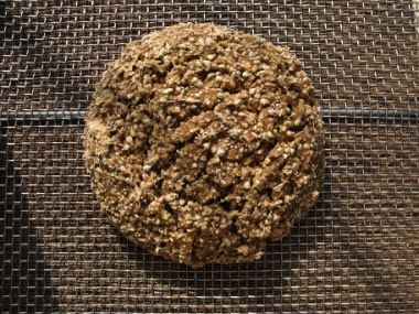 Gluten-Free RAW Vegan Essene Bread!!! Raw Bread, Bread Gluten Free, Growing Sprouts, Sprouted Grain Bread, Sprouted Bread, Sprouted Grains, Blood Type Diet, Bread Alternatives, Sprouting Seeds