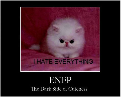 Angry Enfp, Enfp Dark Side, Enfp Funny, Enfp Problems, Enfp And Infj, Personalidad Enfp, Enfp Personality, Enfp T, Infp Personality