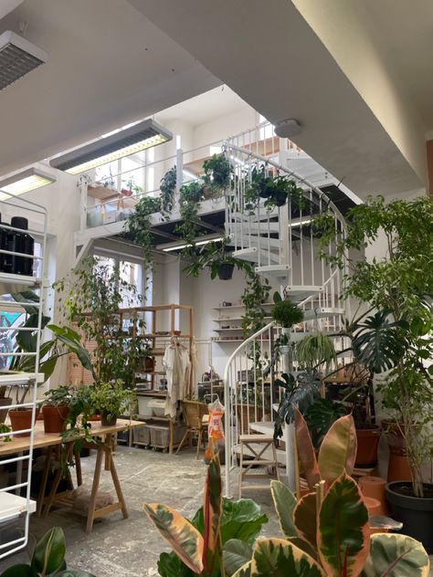 Houses Full Of Plants, Aesthetic Plant Apartment, Aesthetic Apartment Plants, Green Plant House Aesthetic, Plant Nerd Aesthetic, Green Home Astetic, House Filled With Plants, Green House Asthetics, Plant House Interior