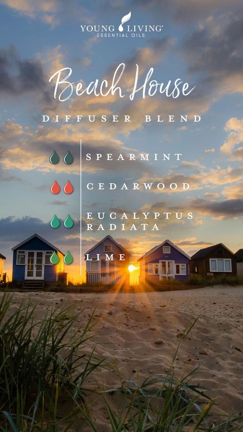 Summer Essential Oils, Living Oils Recipes, Eucalyptus Radiata, Essential Oil Combinations, Doterra Essential Oils Recipes, Essential Oil Diffuser Blends Recipes, Magia Das Ervas, Young Living Essential Oils Recipes, Spearmint Essential Oil